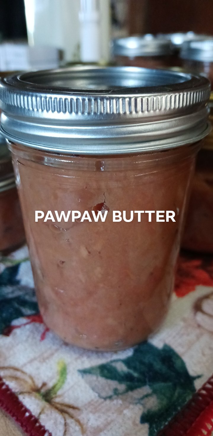 Pawpaw Butter