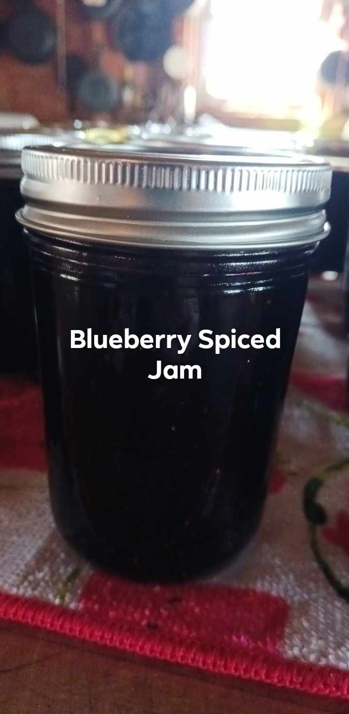 Spiced blueberry jam