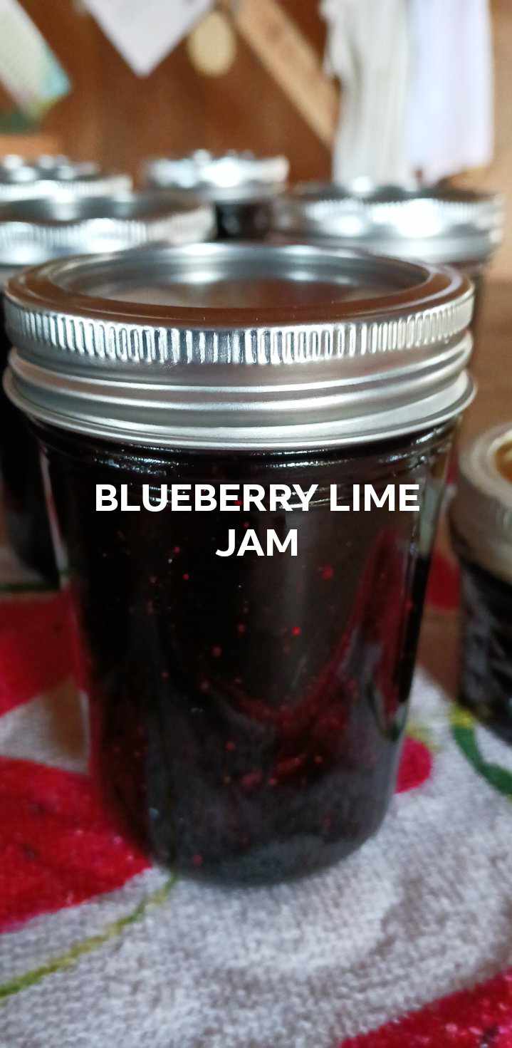 Blueberry Lime Jam